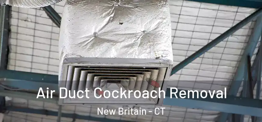 Air Duct Cockroach Removal New Britain - CT