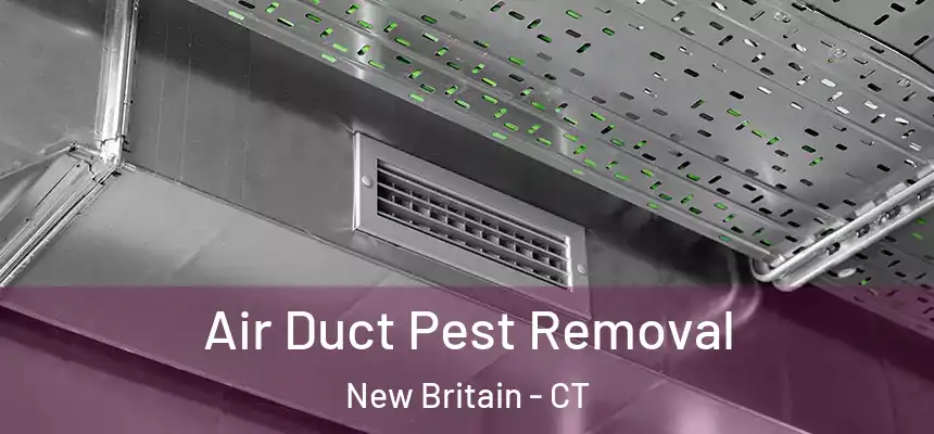 Air Duct Pest Removal New Britain - CT