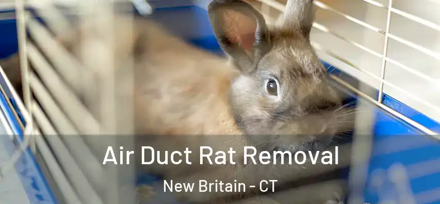 Air Duct Rat Removal New Britain - CT