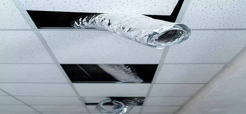 Our Air Duct Pet Hair Removal Services in New Britain, CT