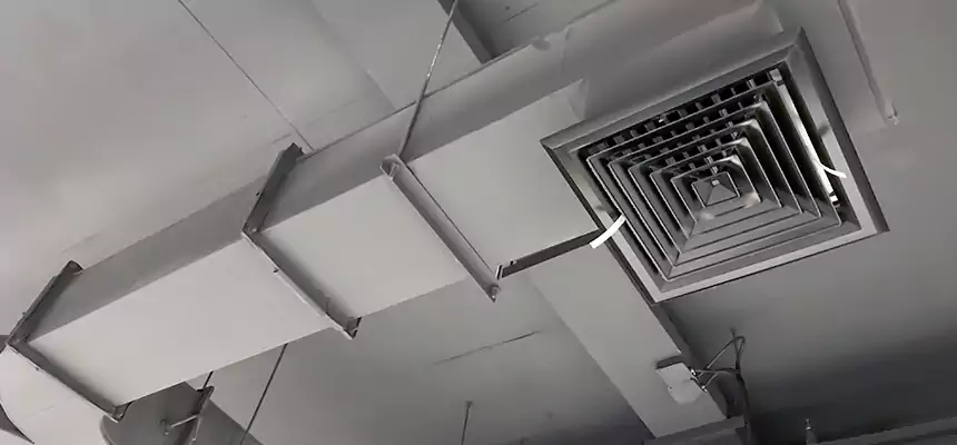 Restorative Allergy Relief Vent Cleaning – Coil, Blower & Housing Detail in New Britain