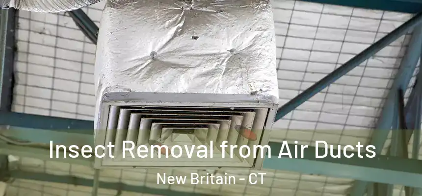 Insect Removal from Air Ducts New Britain - CT
