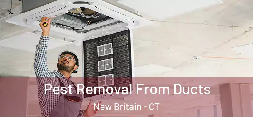 Pest Removal From Ducts New Britain - CT
