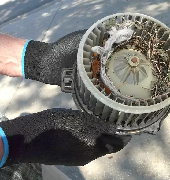 About Air Duct Rat Removal in New Britain, CT