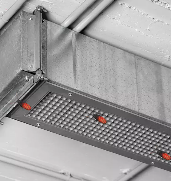 Affordable Insect Removal from Air Ducts in New Britain, CT