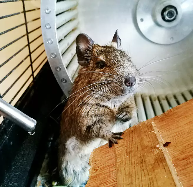 Why Homeowners & Businesses Trust Us New Britain, CT